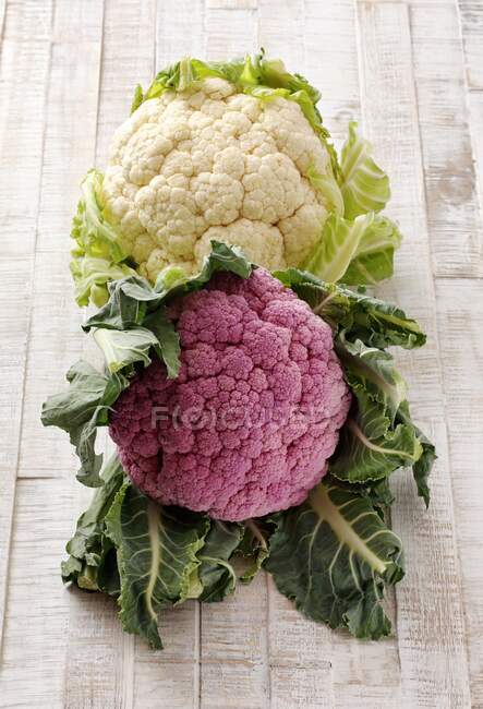 A cauliflower and a purple cauliflower — Stock Photo
