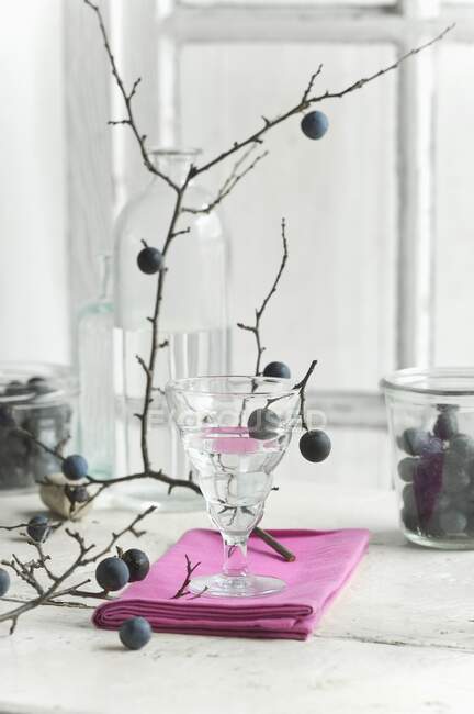 Blackthorn schnapps in a glass, blackthorn fruits in a storage jar and a blackthorn branch on a kitchen table — Stock Photo