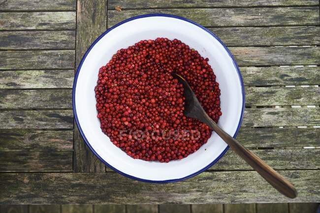 Lingonberries dans un bol en émail avec une cuillère — Photo de stock