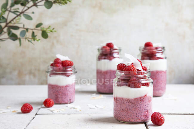 Raspberry and lime chia pudding with coconut — Stock Photo