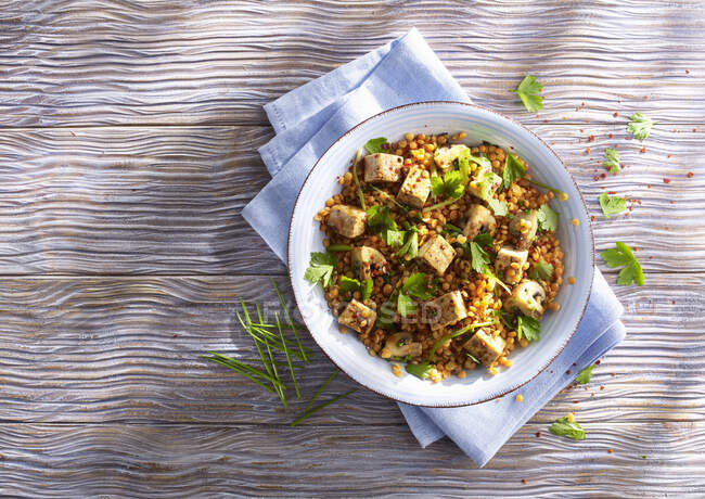 Fried tofu with yellow lentils and herbs — Stock Photo