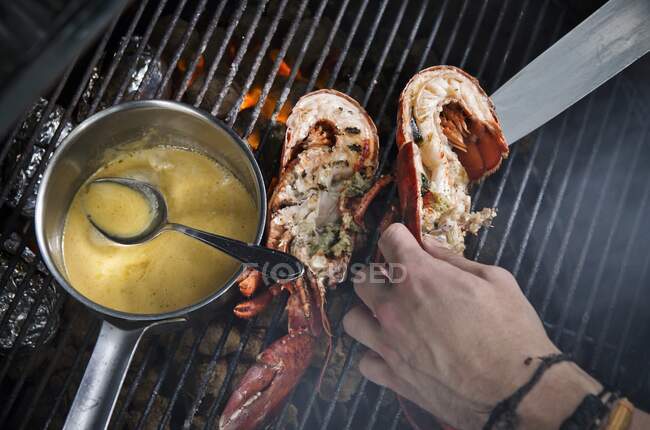 Lobster with sauce on a grill — Stock Photo