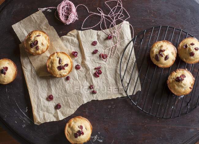 Muffins de canneberge fraîchement cuits refroidissant sur support et papier parchemin — Photo de stock