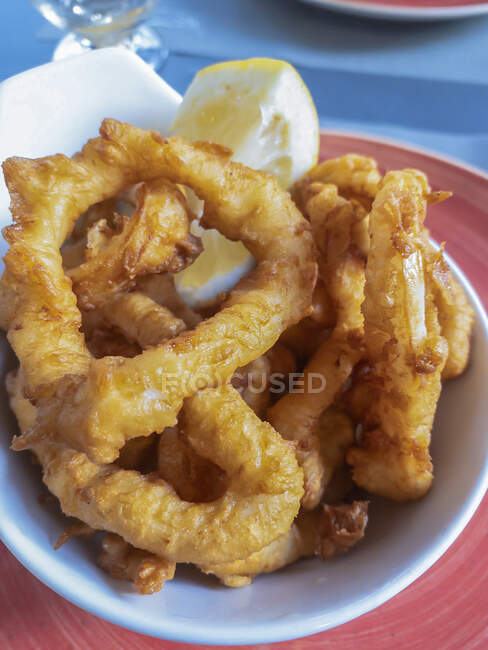 Fried squid close-up view — Stock Photo