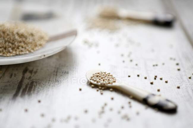 Quinoa on a plate and spoons — Stock Photo