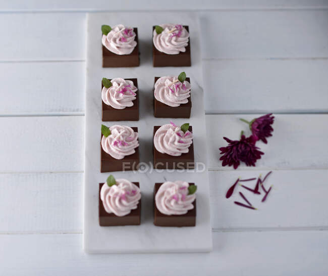 Vegan chocolate bites with raspberry cream — Stock Photo