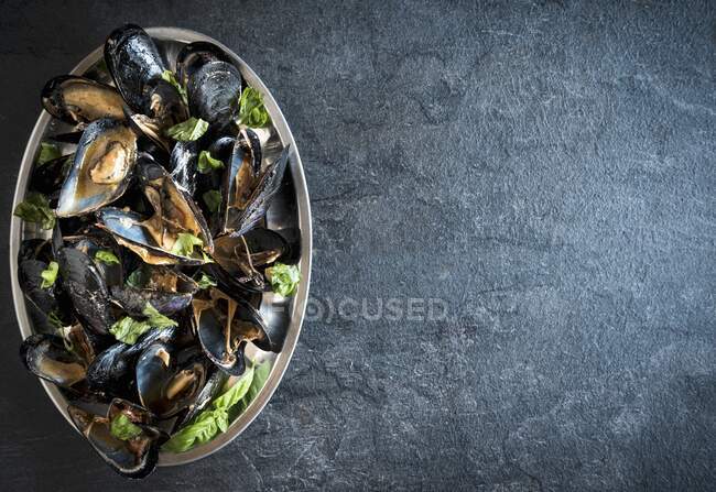 Cooked mussels on a serving platter (seen from above) — Stock Photo