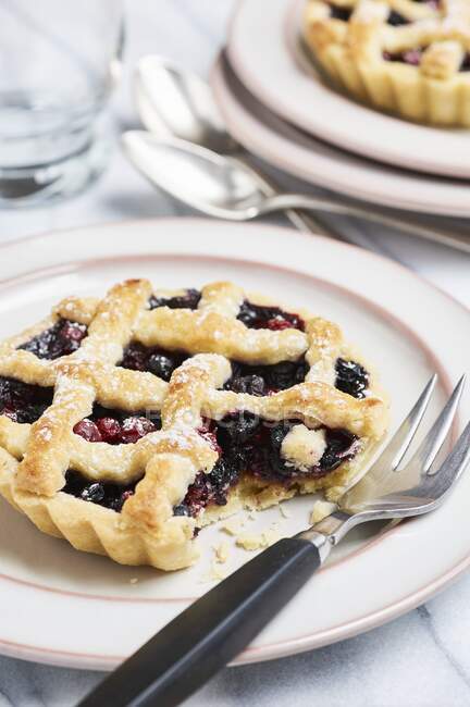 Blueberry and redcurrant tartlet — Stock Photo