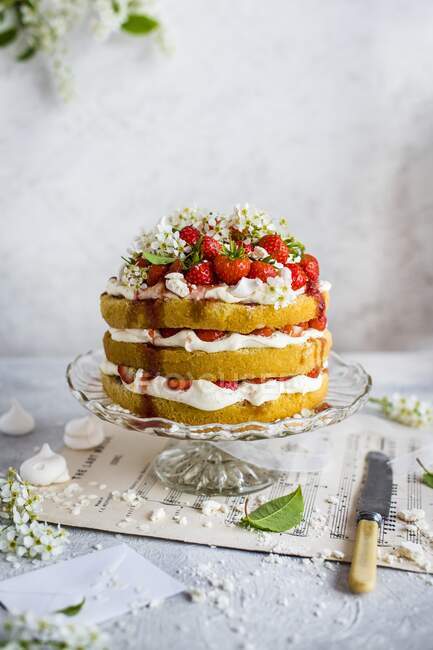 Gâteau à la crème aux fraises multicouches avec meringue — Photo de stock