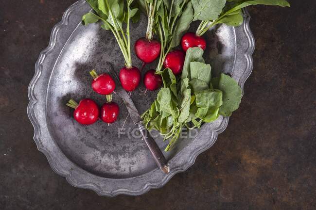 Ravanelli su un vassoio di metallo con un coltello — Foto stock