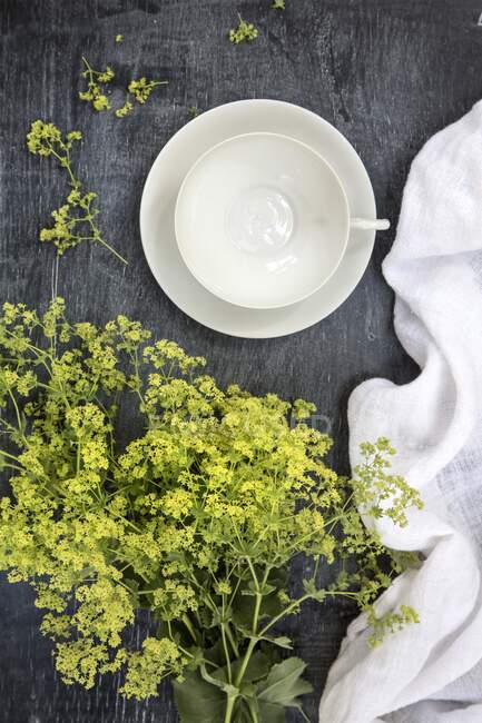 Una taza de té blanco vacía, un paño de lino y flores verdes (vista superior) - foto de stock