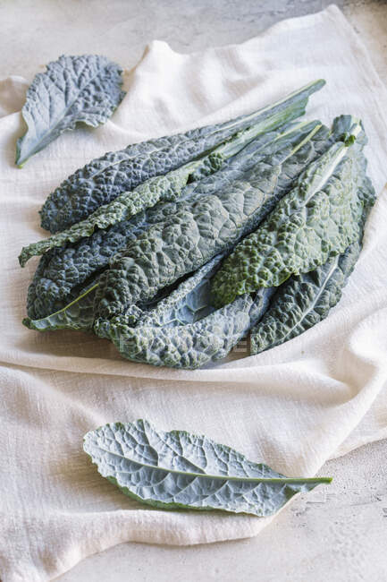 Lacinato kale leaves on table — Stock Photo