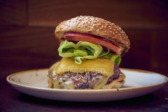 A burger with cheese, lettuce and tomato on a plate — Stock Photo