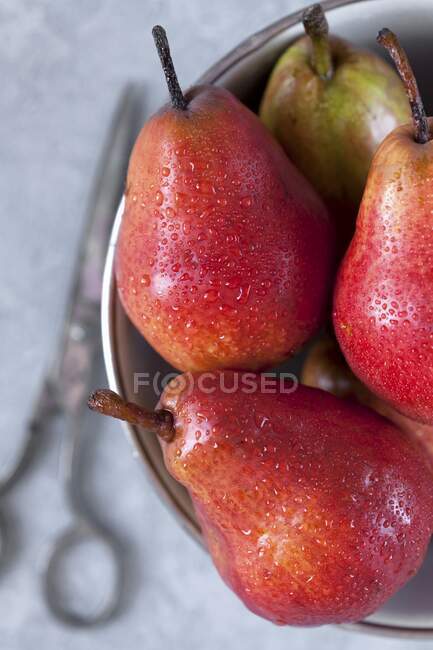 Red pears with water drops in a metal bowl — Stock Photo