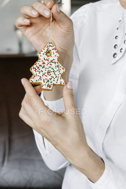 Biscoito de árvore de Natal de gengibre nas mãos da mulher — Fotografia de Stock