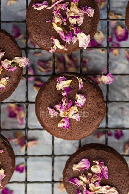 Chocolate cookies with dried rose petals — Stock Photo