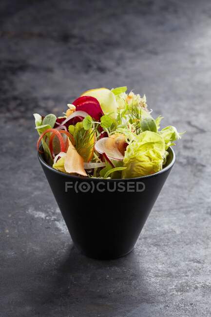 Змішаний салат з овочами і травами в невеликій мисці — стокове фото
