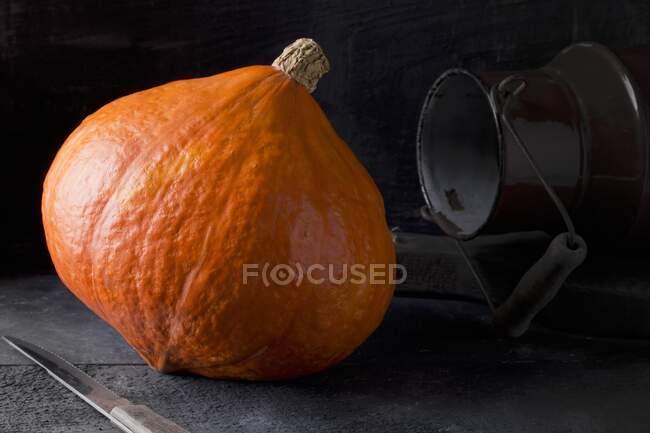 A whole Hokkaido pumpkin on a black background — Stock Photo