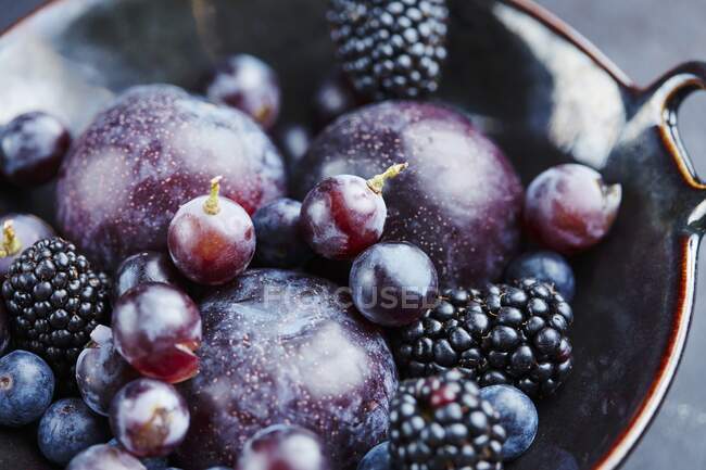 Plums, blackberries, blueberries and grapes in a ceramic bowl — Stock Photo