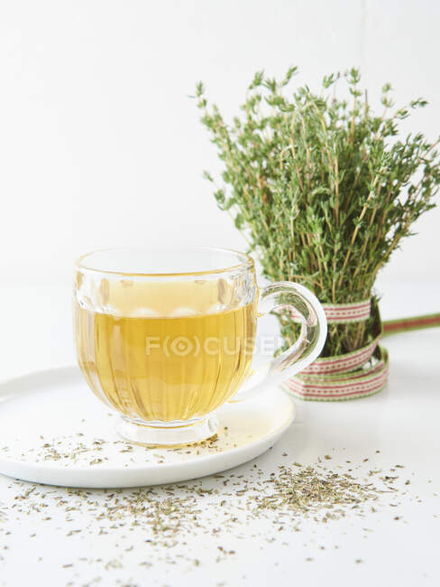 Чашка чая из тимьяна в стакане перед свежим тимьяном — стоковое фото