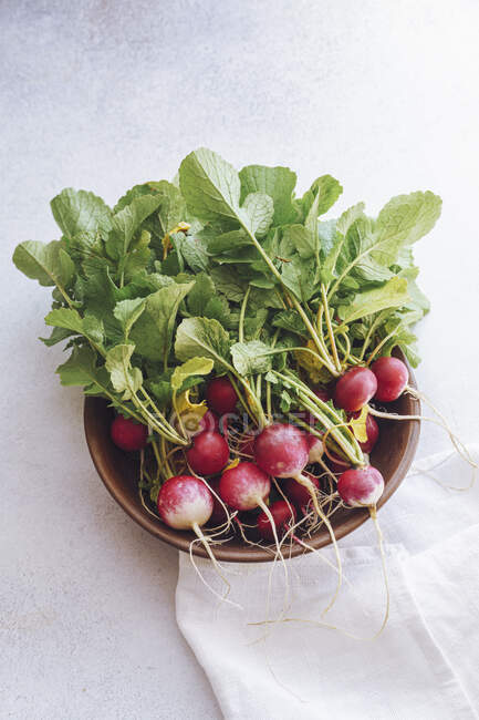 Small radish in bowl — Stock Photo