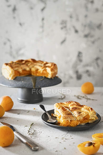 Apricot pie with thyme — Stock Photo
