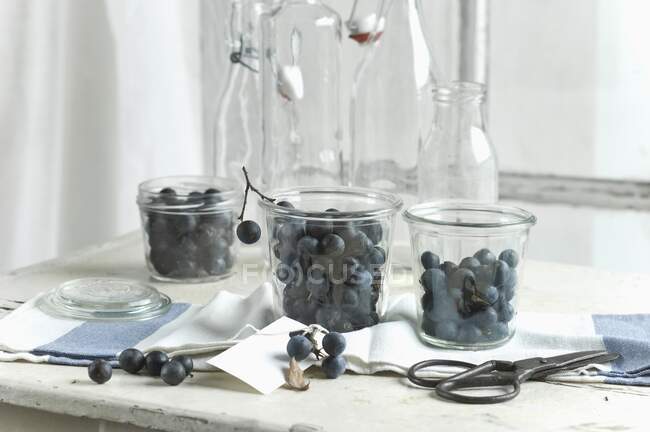 Fruits d'épine noire dans des pots de stockage sur une table de cuisine avec une branche d'épine noire et des ciseaux — Photo de stock
