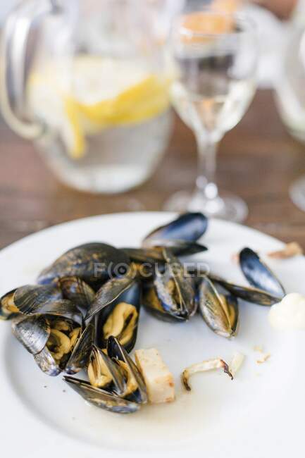 Mussels on a plate — Stock Photo