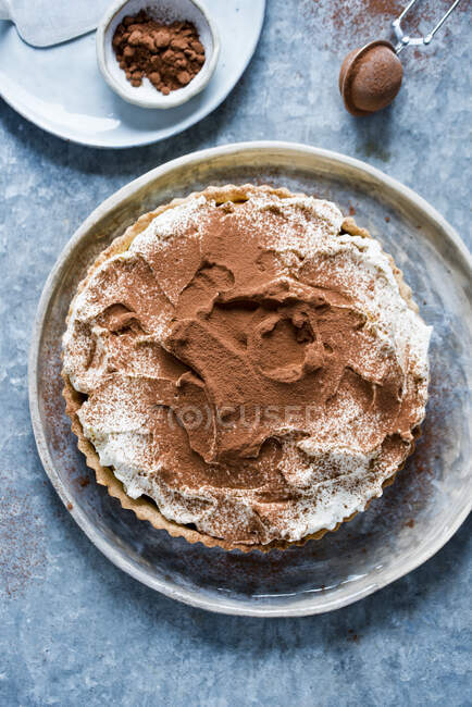 Gelato al cioccolato con noci e cacao in polvere su un piatto blu — Foto stock