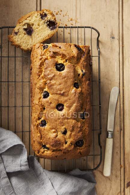 A sliced blueberry loaf cake on a wire cooling rack — Stock Photo
