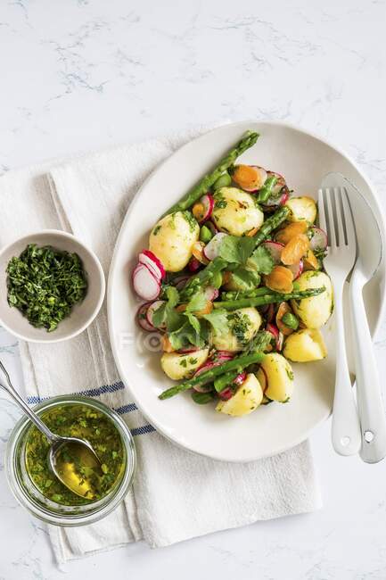 Salada de batata com espargos, rabanetes, cenouras e ervas — Fotografia de Stock