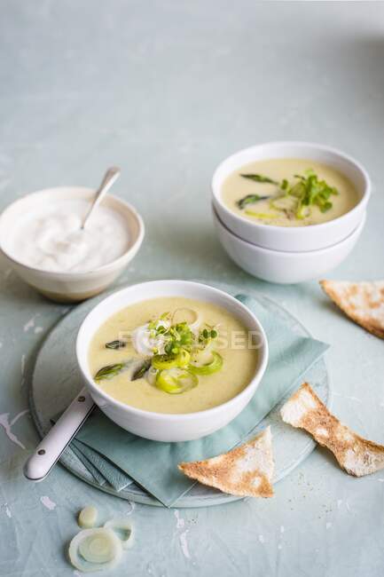 Sopa de cebolla de primavera y espárragos con crema agria y tostadas - foto de stock