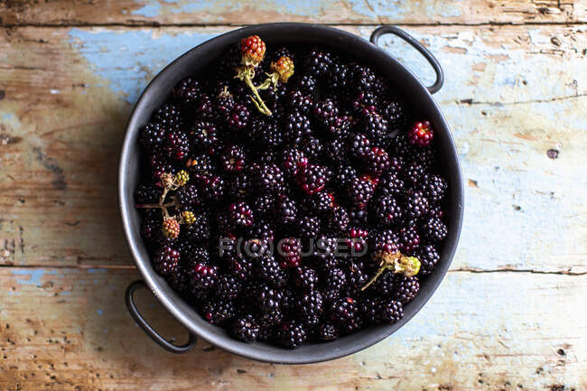 Fresh blackberries in metal jar — Stock Photo