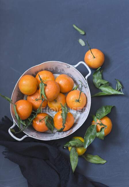 Mandarinas frescas en un recipiente de metal sobre un fondo azul (vista superior) - foto de stock
