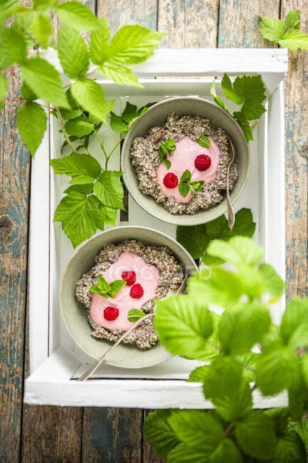 Poppy seeds and millet porridge with quark and fresh raspberries in bowls — Stock Photo