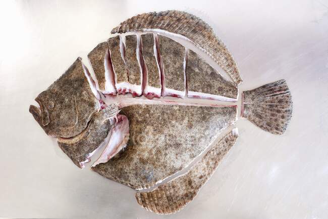 Sliced turbot ready to grill — Stock Photo