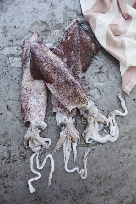 Three raw squid on a stone background (top view) — Stock Photo