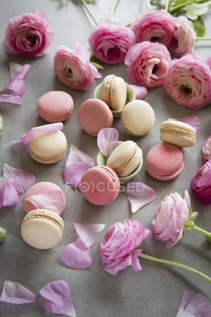 Macarrones con rosas rosadas - foto de stock