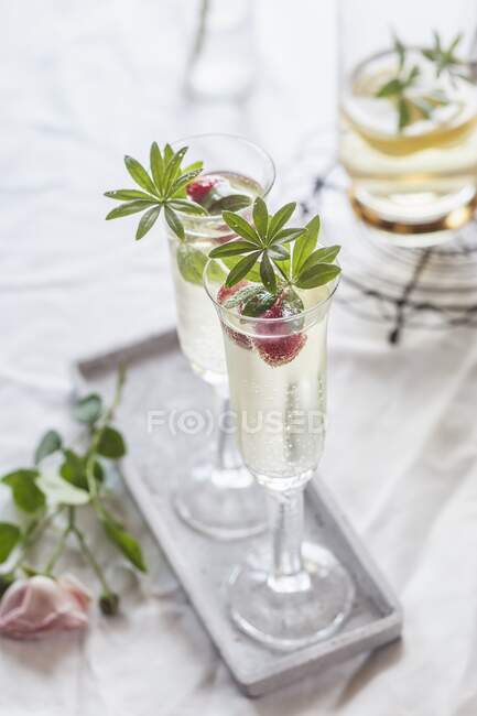 Vinho de maio com framboesas e arbusto fresco — Fotografia de Stock