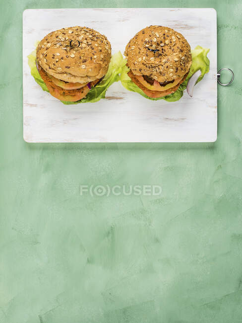 Vegan burger made with spelt bun and soy and vegetable patty with lettuce salad, tomato and red onion — Stock Photo