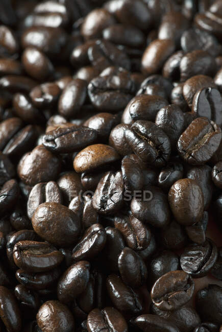 Gros plan sur les grains de café — Photo de stock