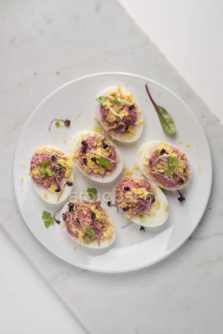 Deviled eggs with beetroot filling and herbs served on plate — Stock Photo