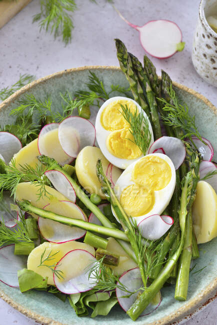 Spring salad with asparagus, eggs and radish — Stock Photo