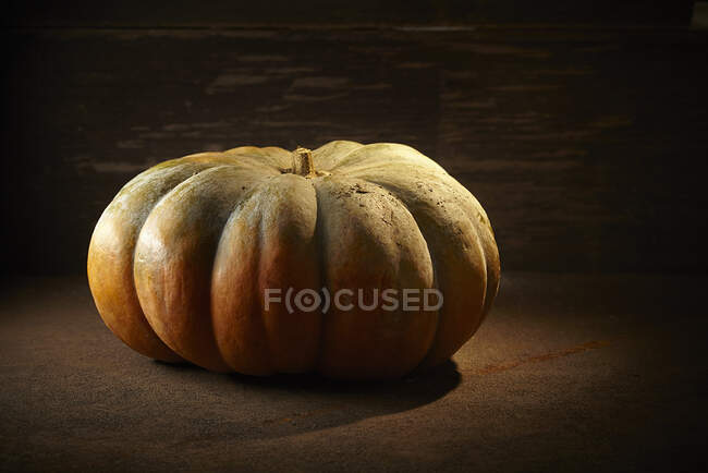 Halloween pumpkin and autumn pumpkins on black wooden background. thanksgiving concept. copy space — Stock Photo