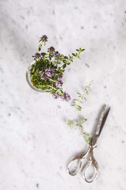 Fresh flowering summer savory in a glass jar (top view) — Stock Photo