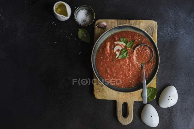 Традиционный испанский томатный суп Gazpacho — стоковое фото