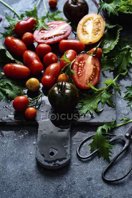 Tomatoes and green leaves — Stock Photo