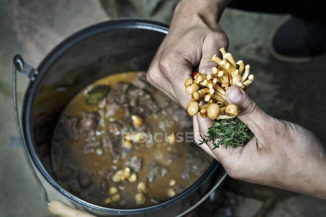Comment faire des boulettes de viande aux champignons — Photo de stock