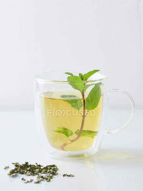 Chá de hortelã, hortelã fresca e folhas de chá secas — Fotografia de Stock