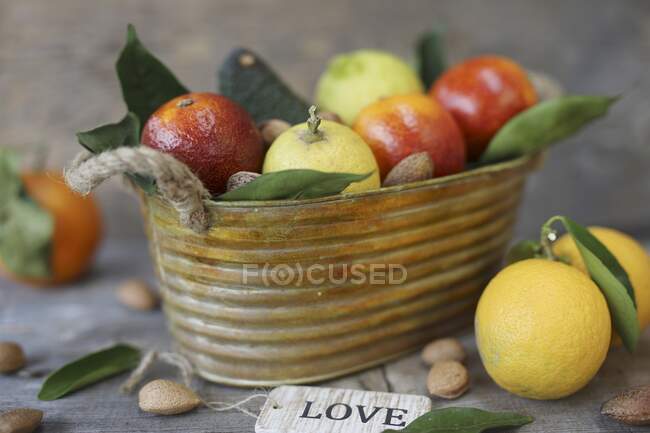 Fresh citrus fruits in a metal basket — Stock Photo